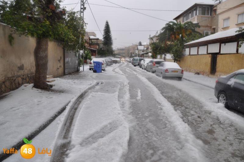 iceman lud 1213 (68).JPG